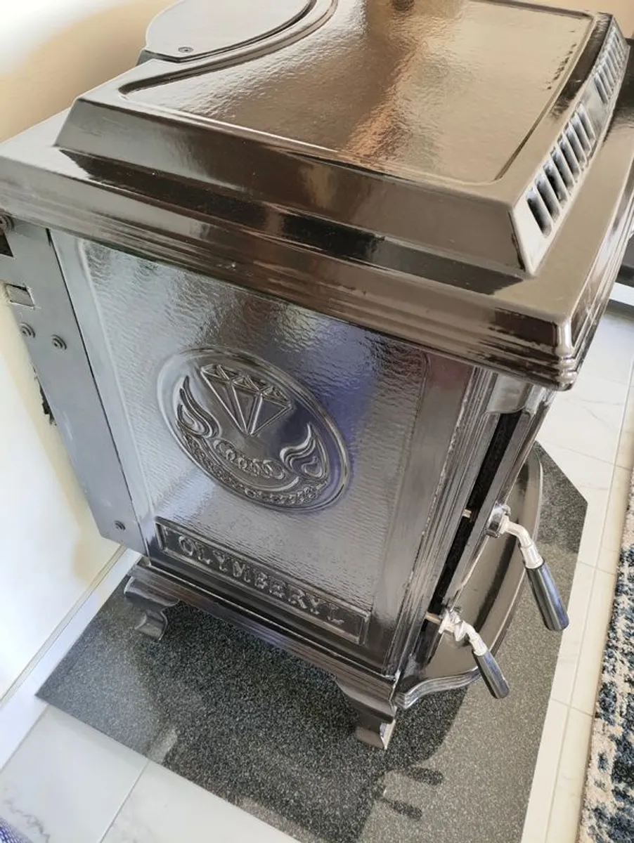 Hi-Flame Olymberyl Aidan Boiler stove - Image 3