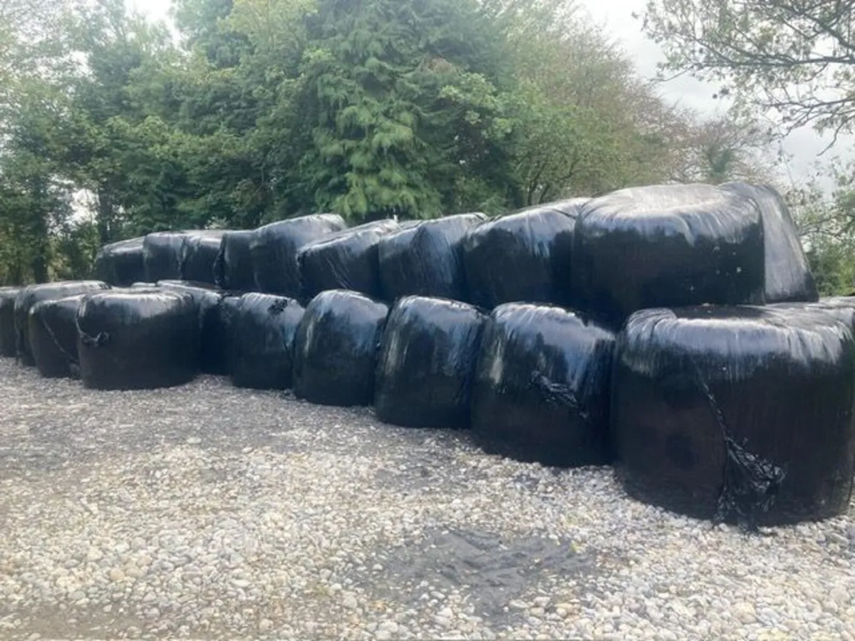 Silage Bales