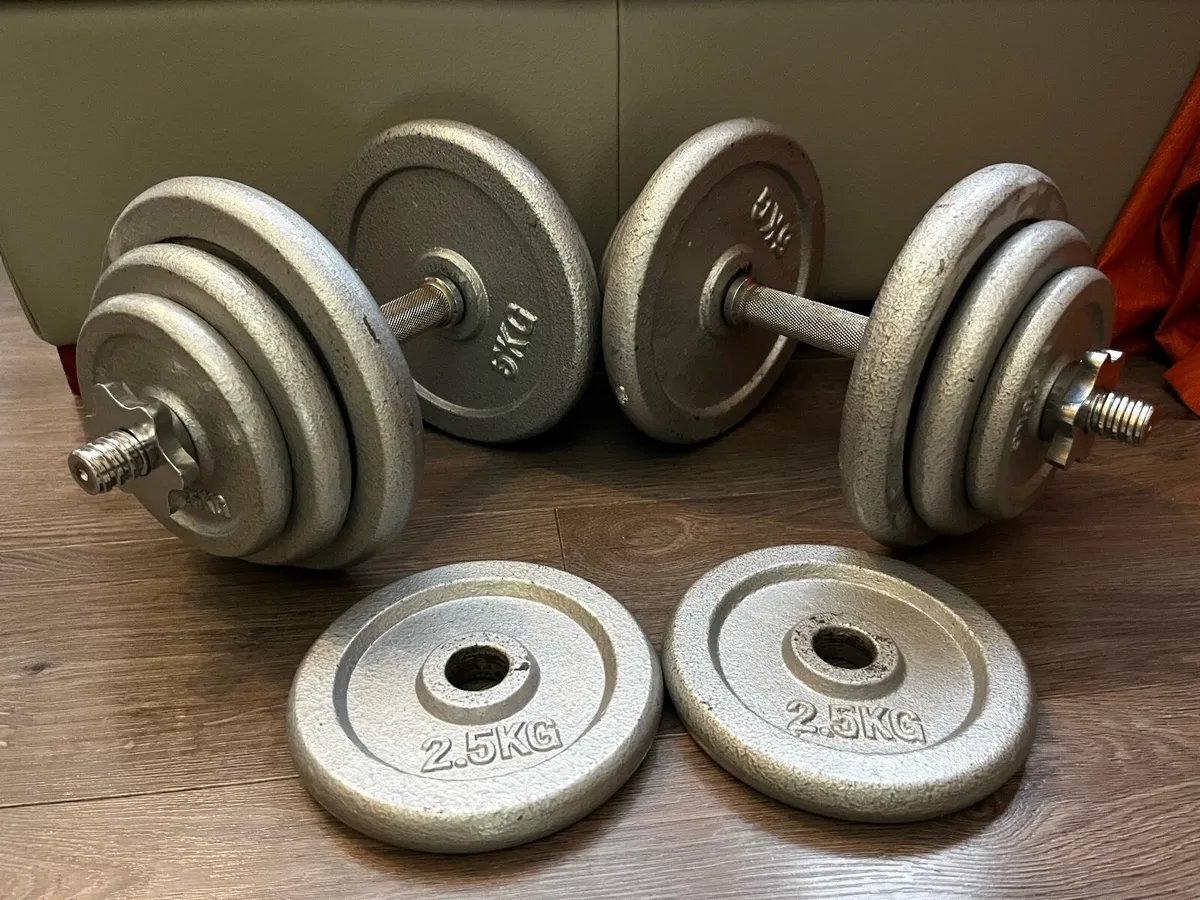 2x19.6kg cast iron spinlock dumbbells - Image 2