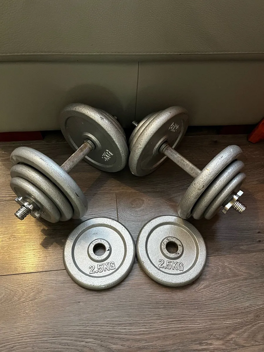 2x19.6kg cast iron spinlock dumbbells - Image 3