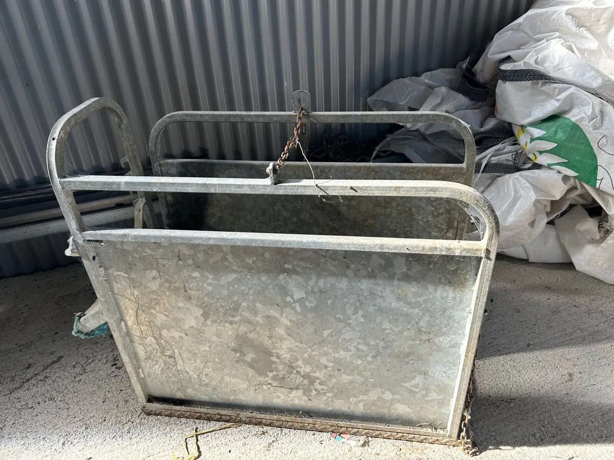 Calf dehorning crate - Image 3