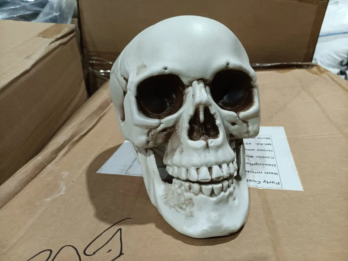 Halloween props - Image 3