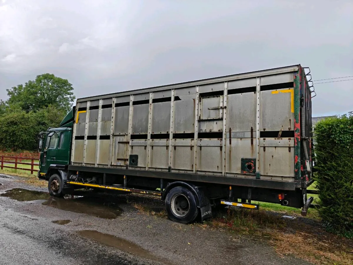 Volvo FL6 cattle truck - Image 1