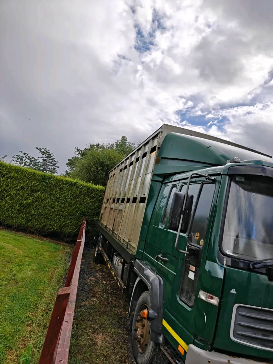 Volvo FL6 cattle truck - Image 3