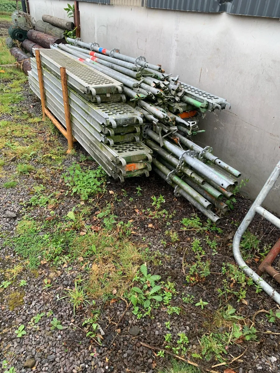 Scaffolding - Image 3