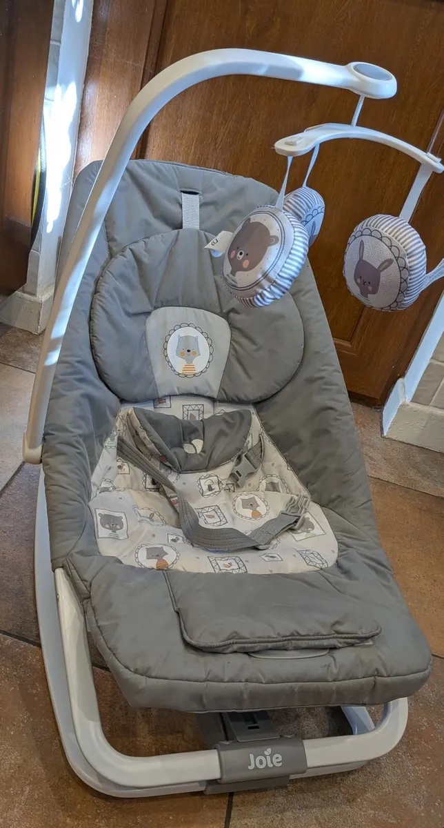 Joie Dreamer Baby Bouncer/Rocker - Image 2