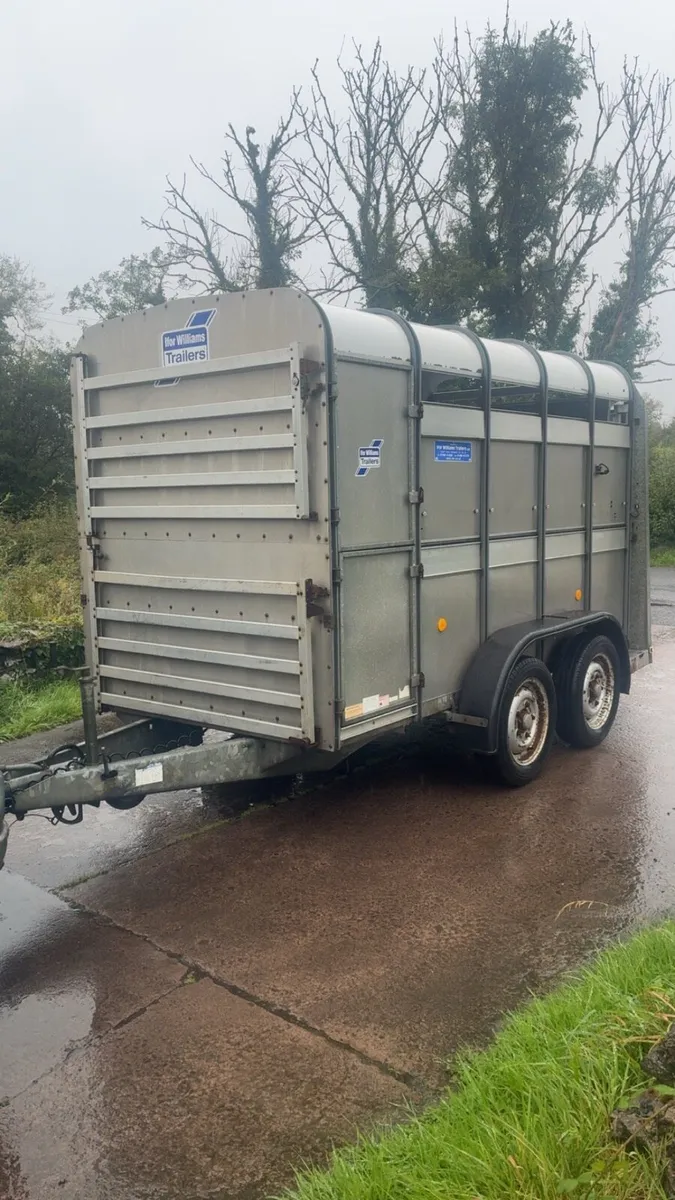 Ifor Williams 10ft Cattle Trailer with sheep decks - Image 1