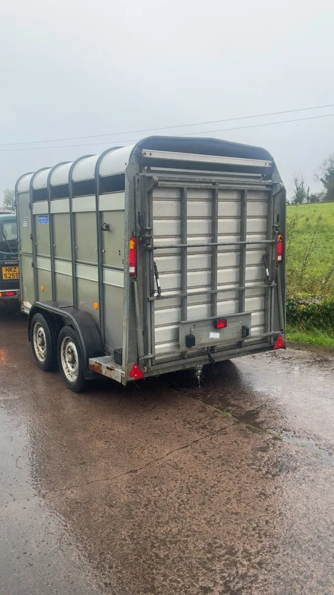 Ifor Williams 10ft Cattle Trailer with sheep decks - Image 4