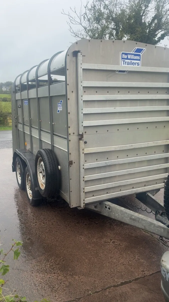 Ifor Williams 10ft Cattle Trailer with sheep decks - Image 2
