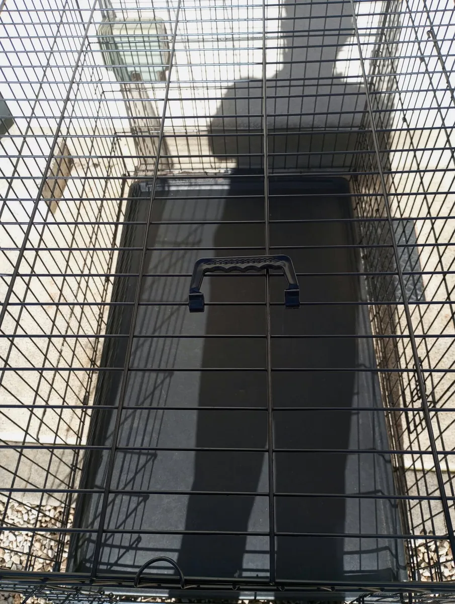 Extra large dog travel crate. - Image 3
