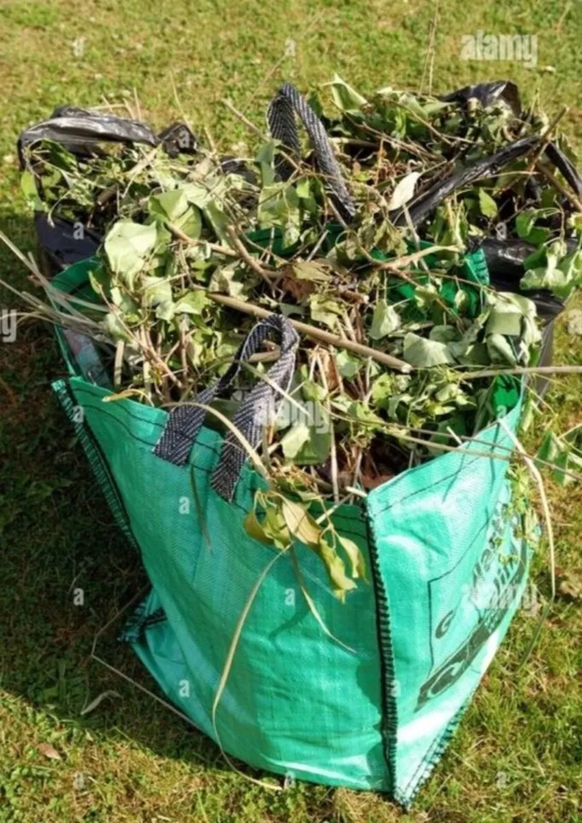 Rubbish removal - Image 4