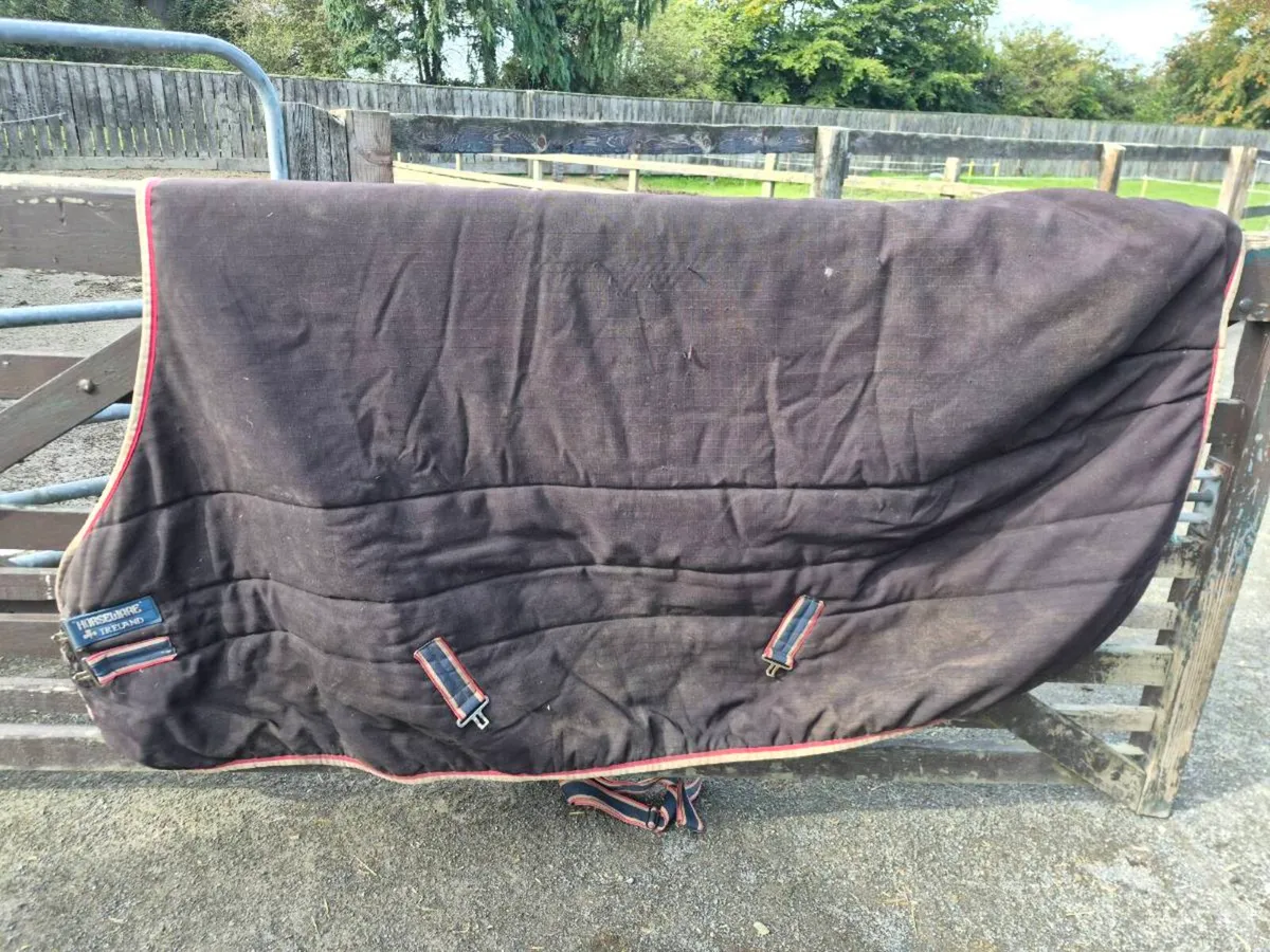 Rug clear out - Image 1