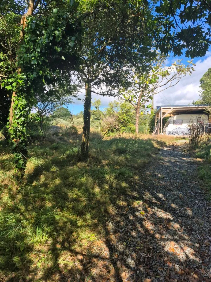 0.25 acres with small cabin & caravan - Image 2