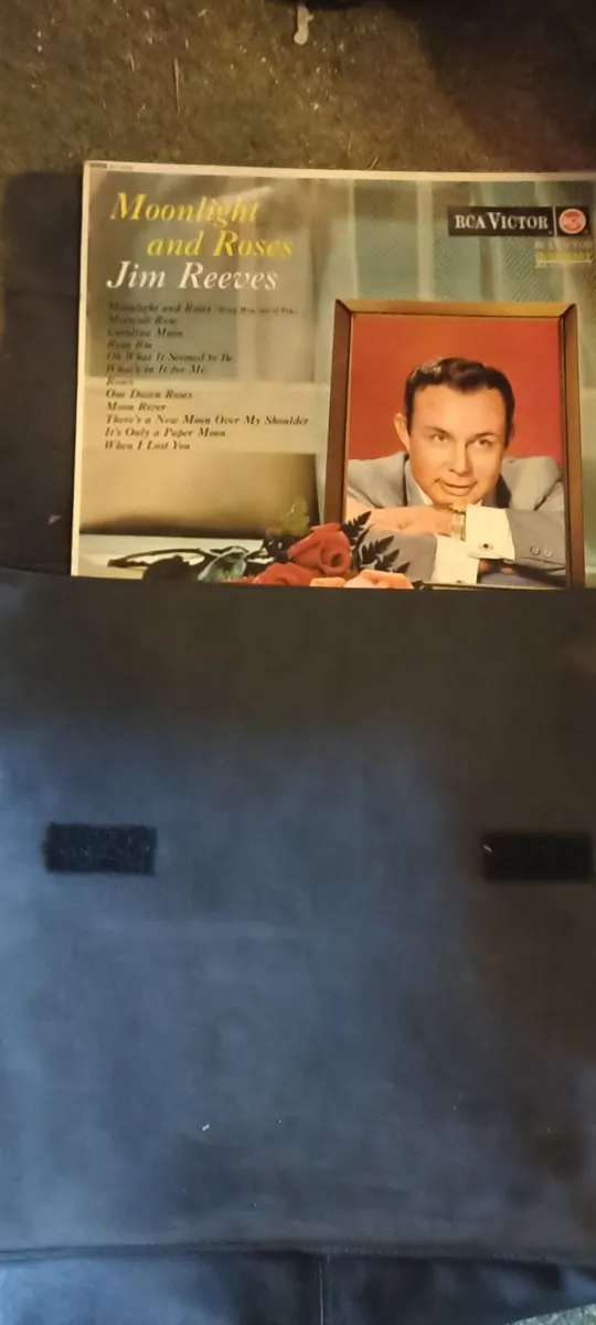 Record Collector's  Satchel - Image 1