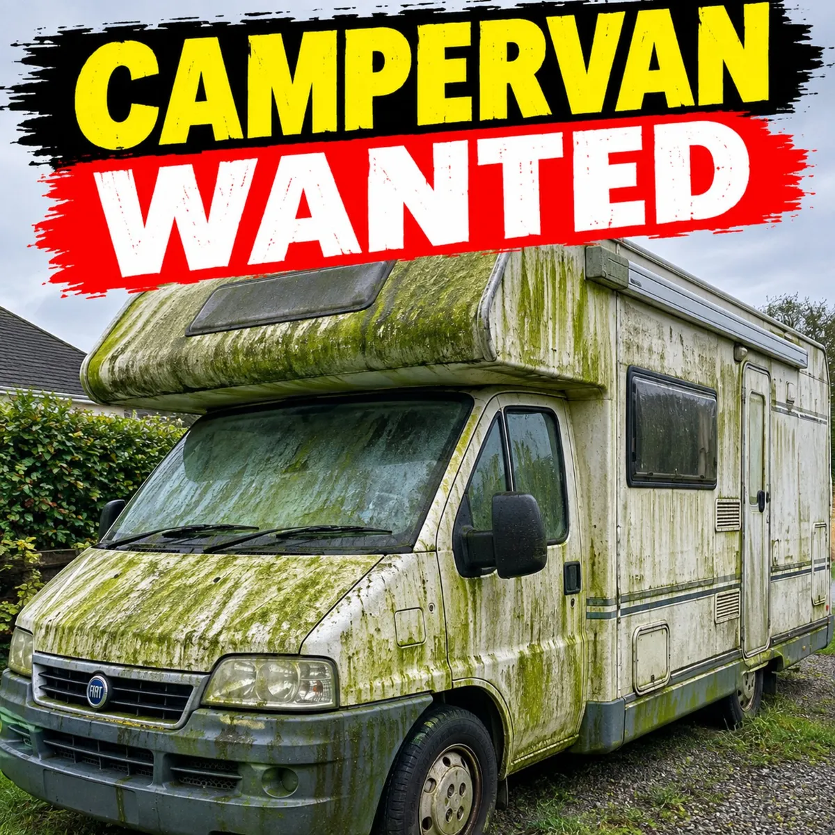 Campervan wanted - Image 2