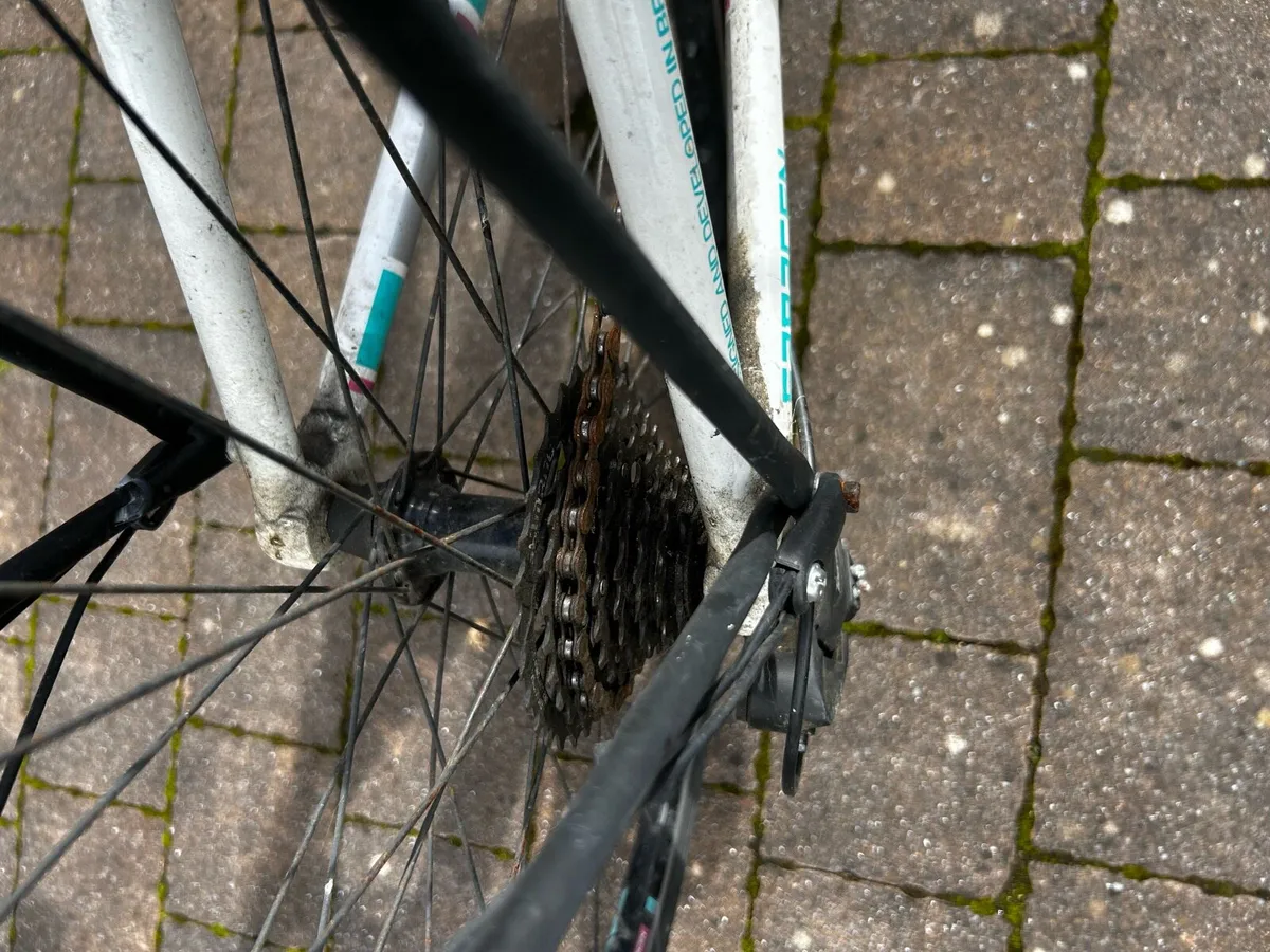 Girls Bicycle For Sale - Image 4