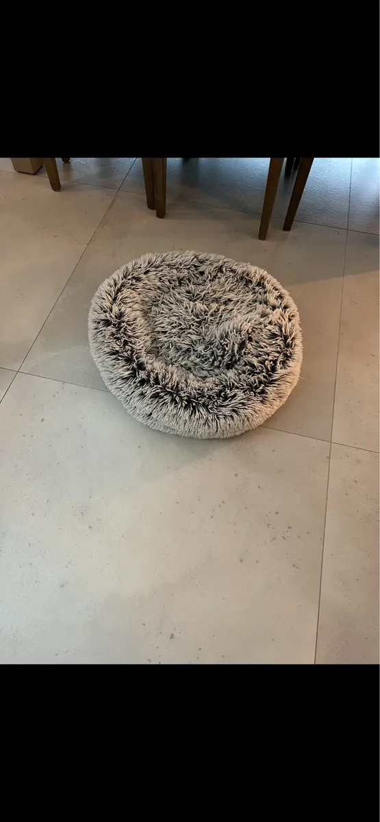 Dog bed