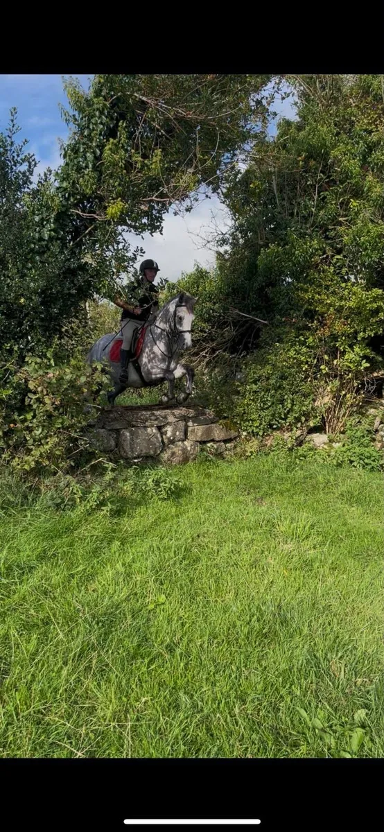 Connemara - Image 3
