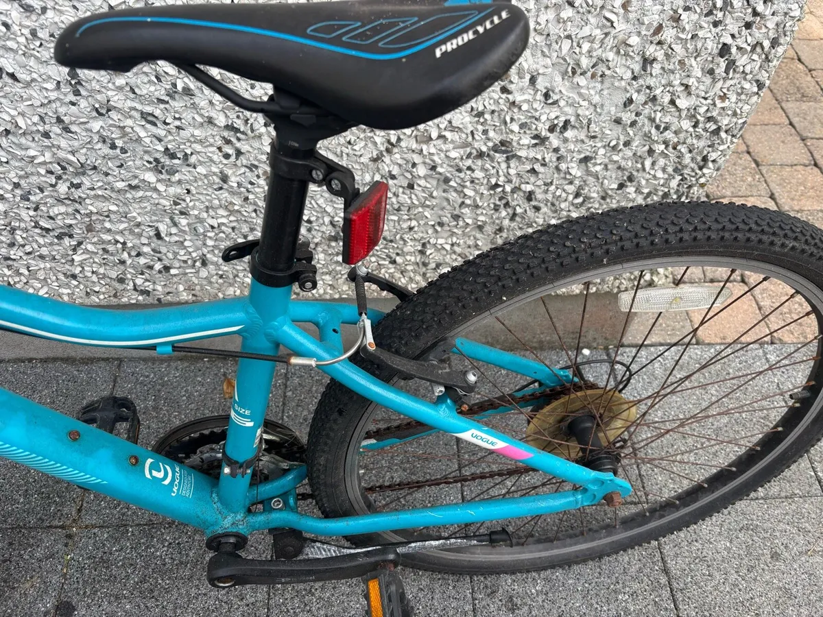 Girls Mountain Bike - Image 1