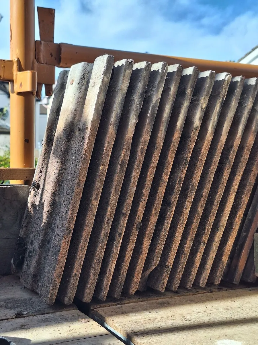 Roof tiles - Image 2