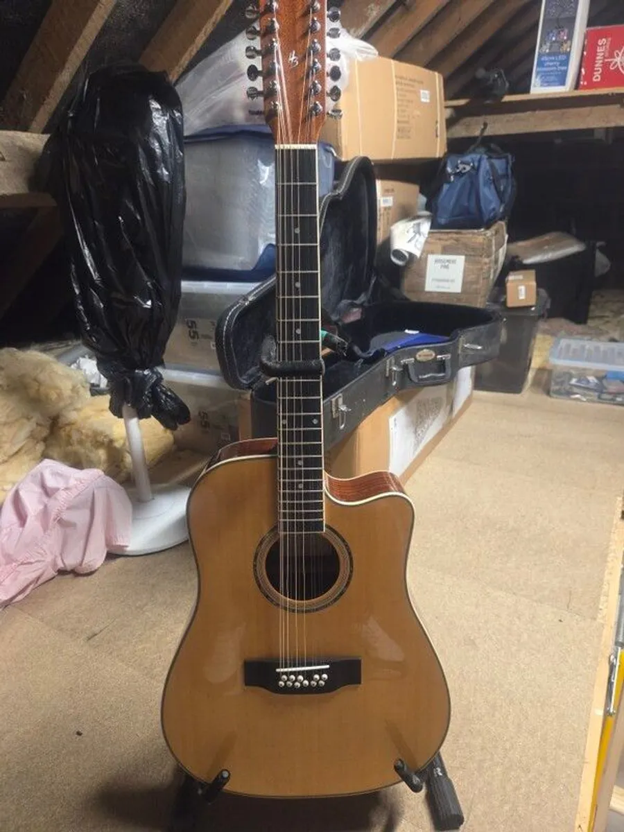 12 string Acustic guitar - Image 1