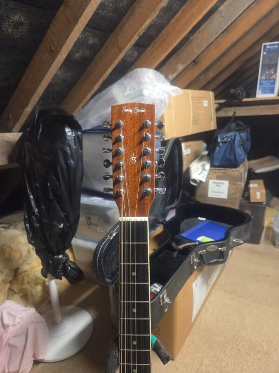 12 string Acustic guitar - Image 2