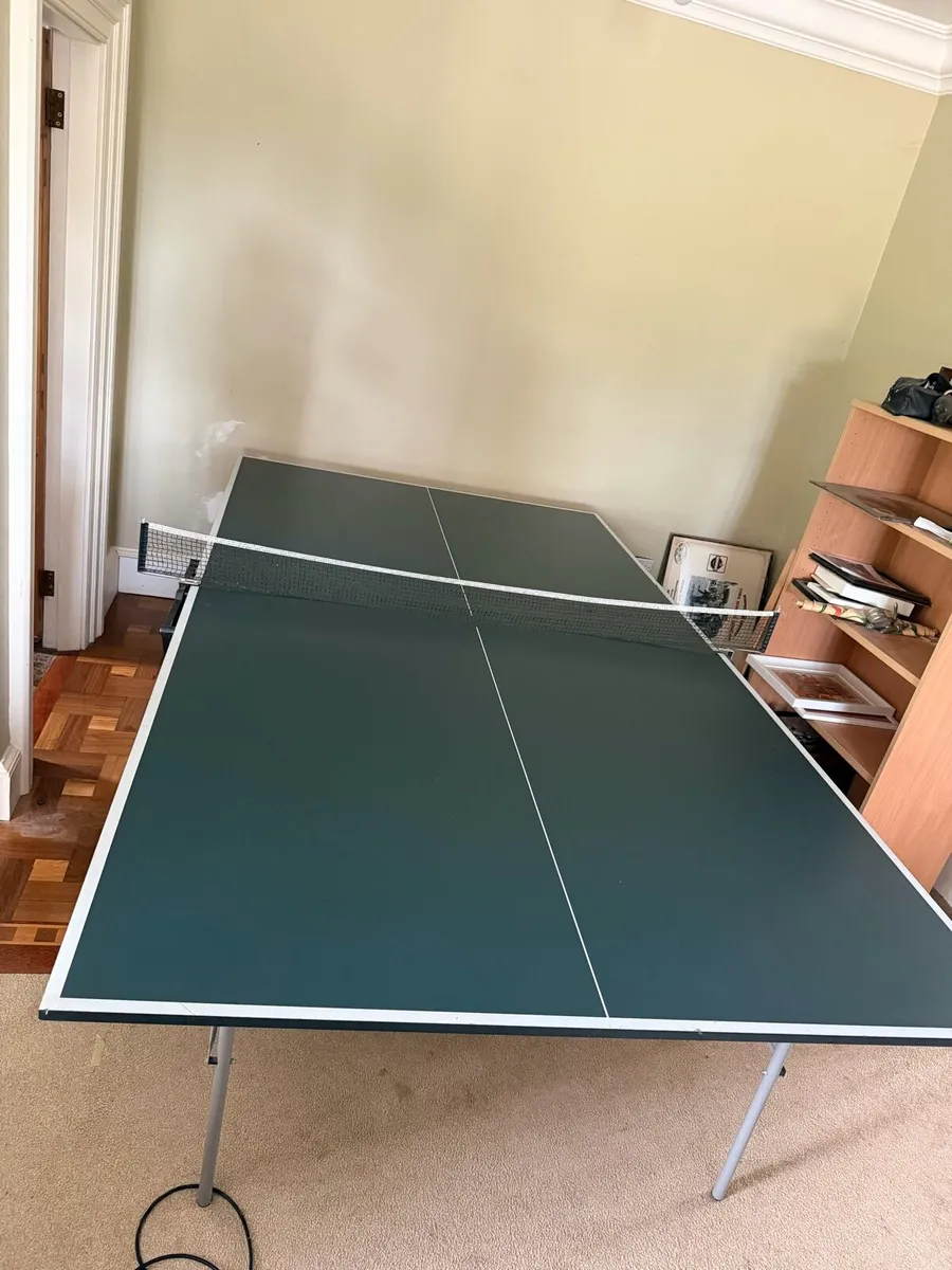 Butterfly Ping Pong Table - Image 3