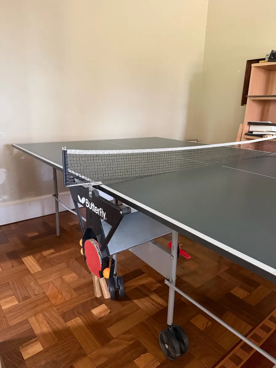 Butterfly Ping Pong Table - Image 4