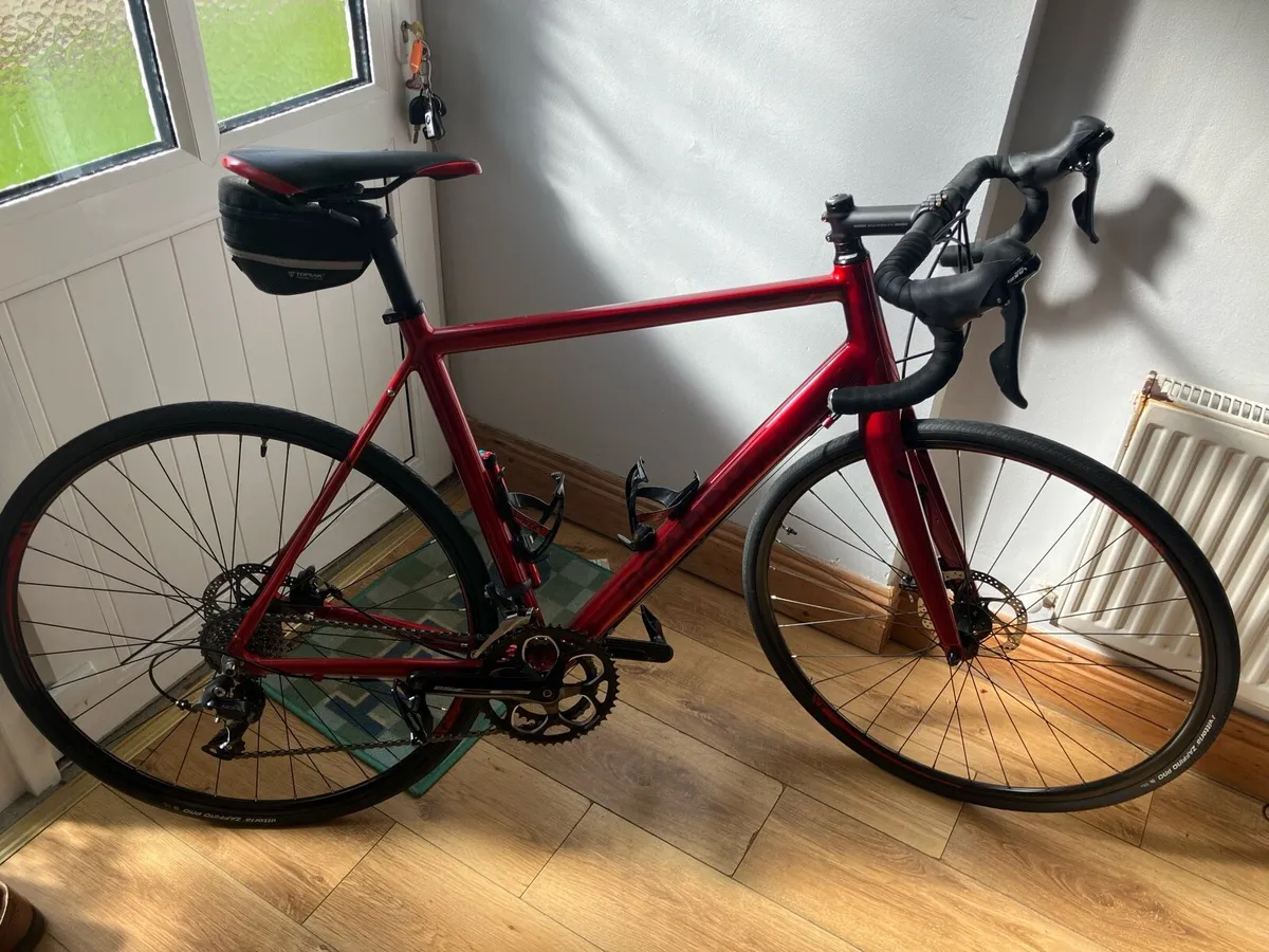 Boardman Road Comp - L - Image 2