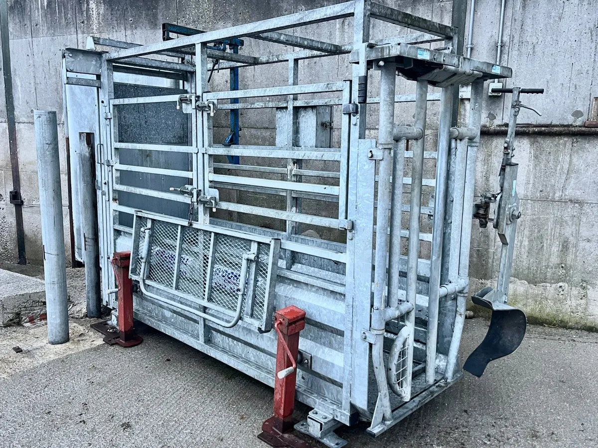 Mobile Cattle Crush & Weighing Scales Crate - Image 3