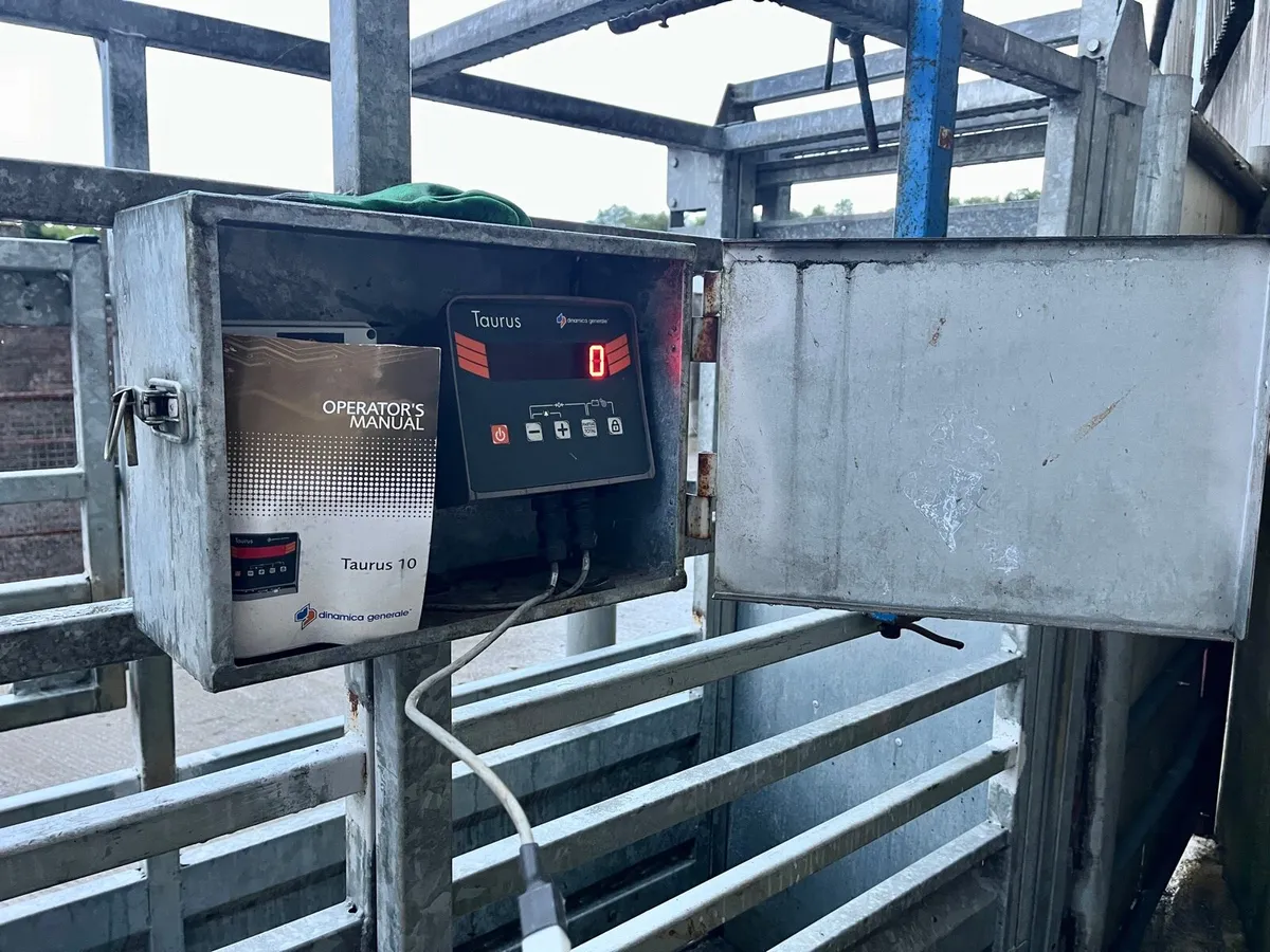 Mobile Cattle Crush & Weighing Scales Crate - Image 2