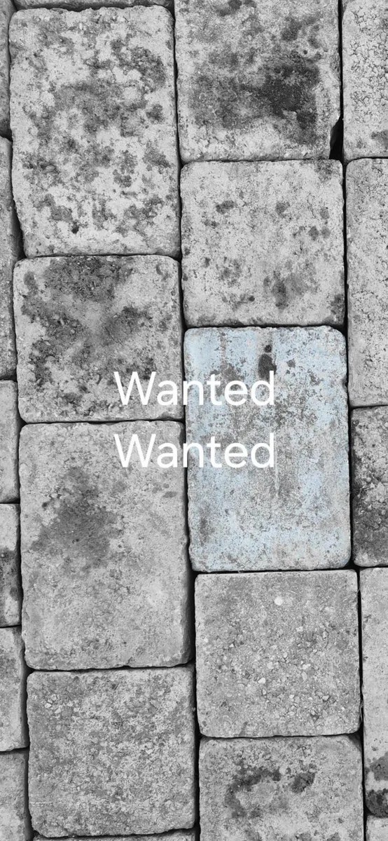 Paving Stone