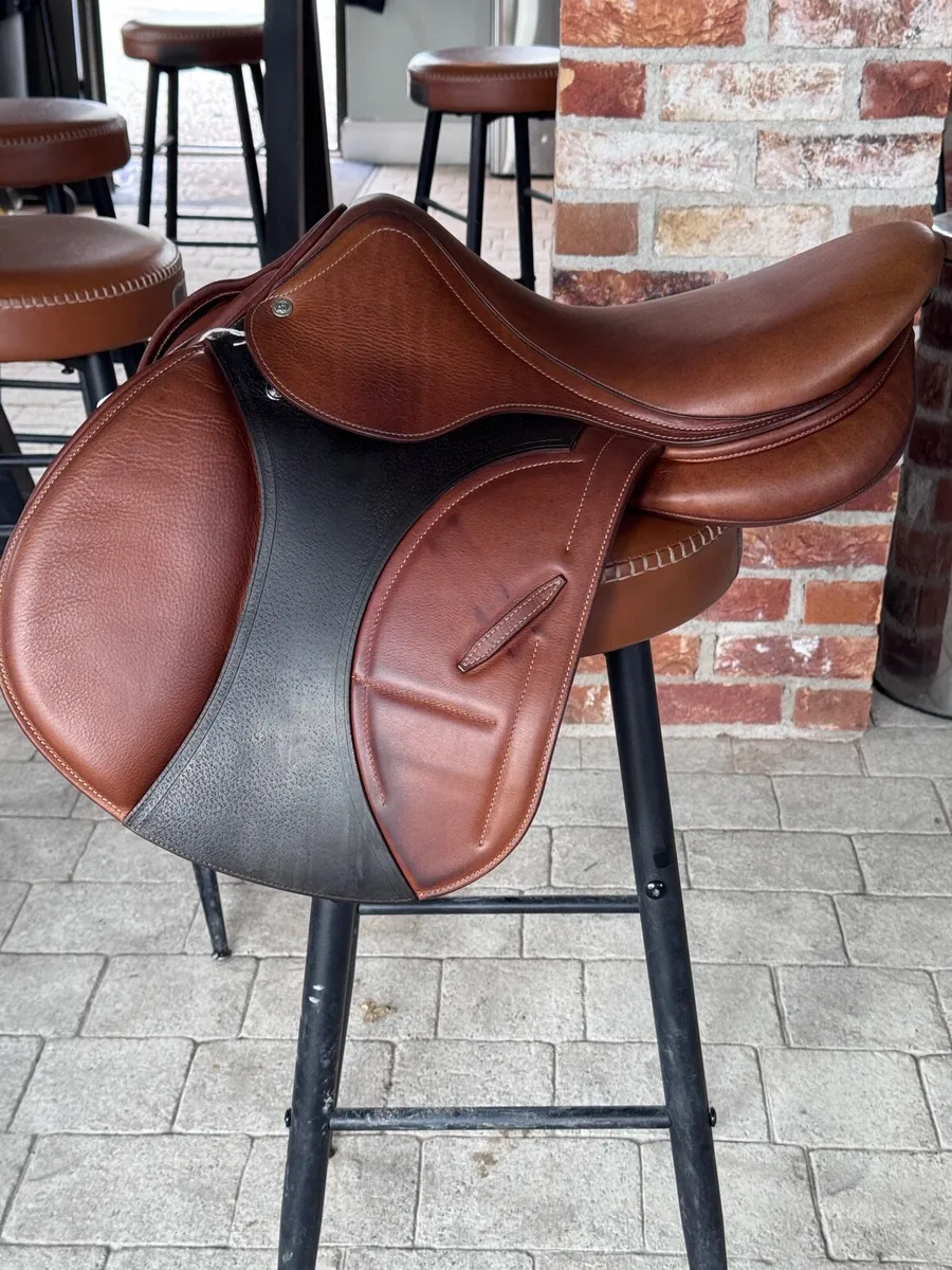 Arion 16” jumping saddle - Image 1