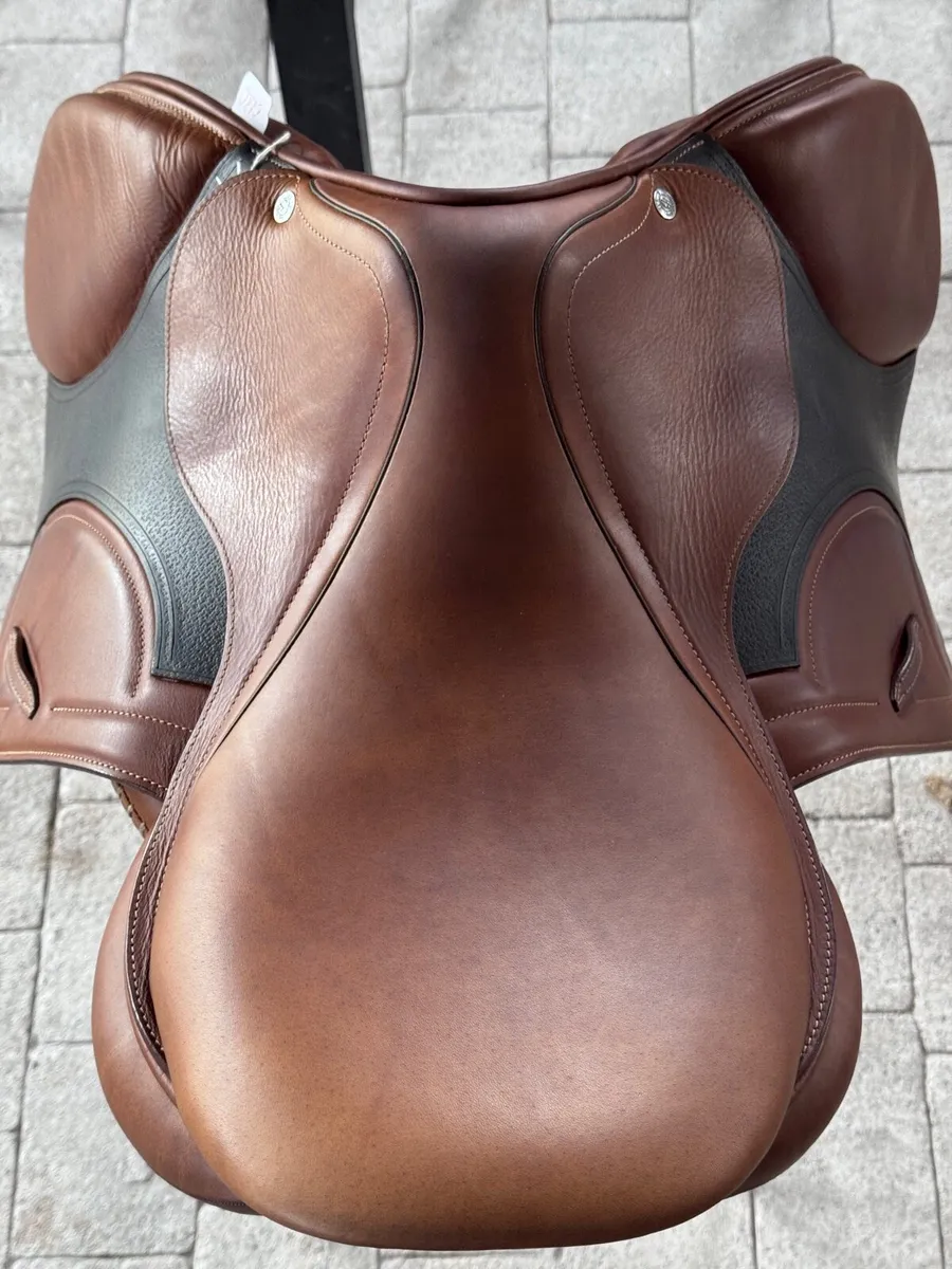 Arion 16” jumping saddle - Image 2