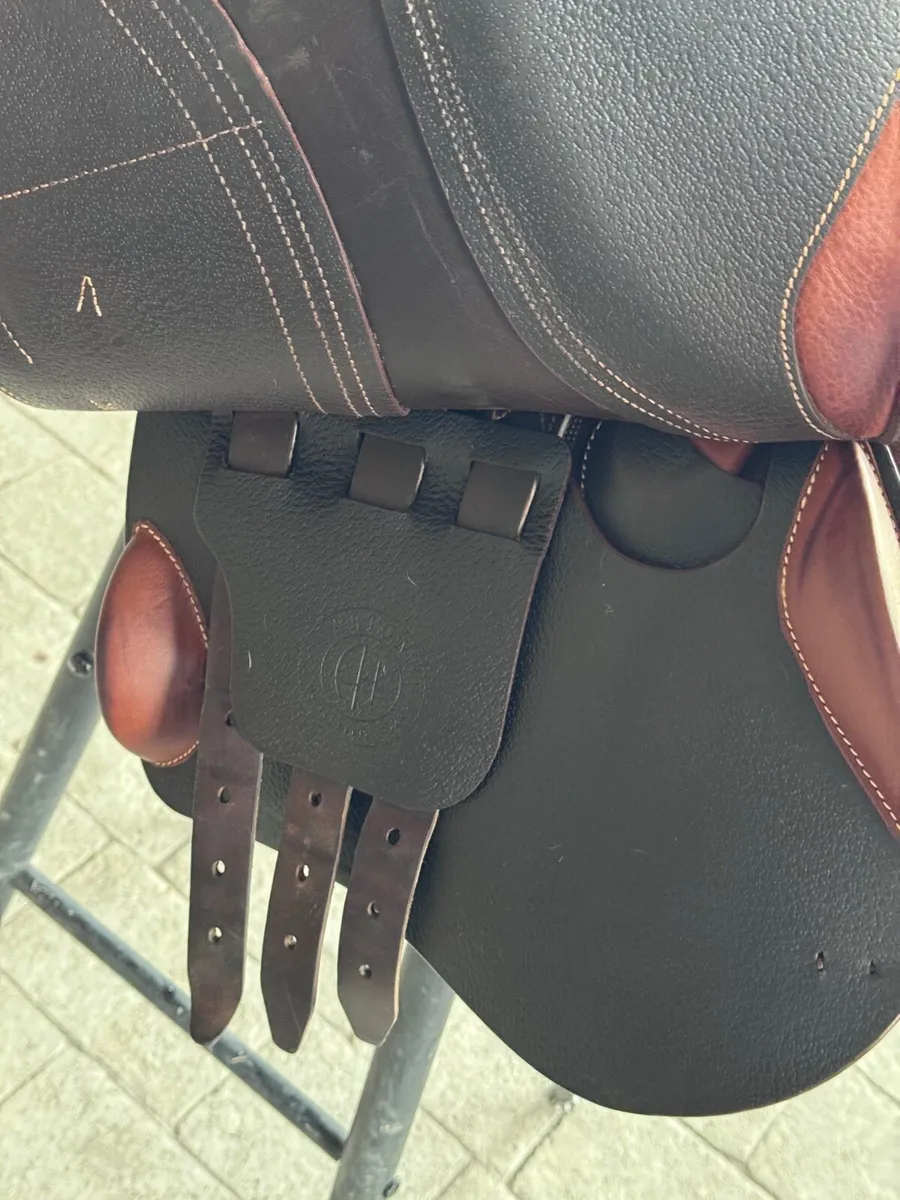 Arion 16” jumping saddle - Image 3