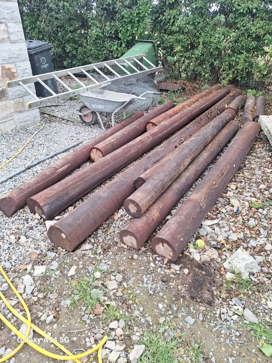 9ft poles treated can deliver - Image 1