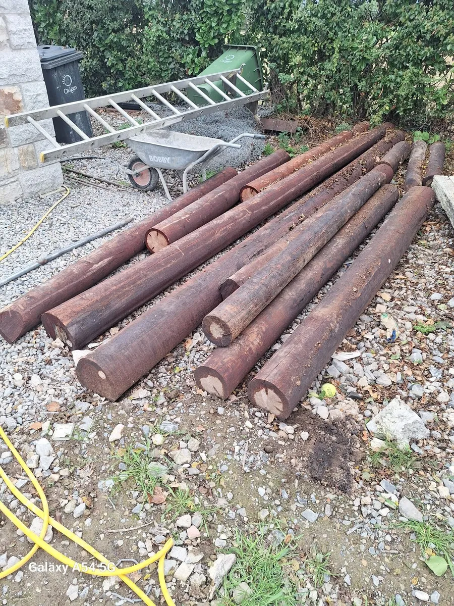 9ft poles treated can deliver - Image 3