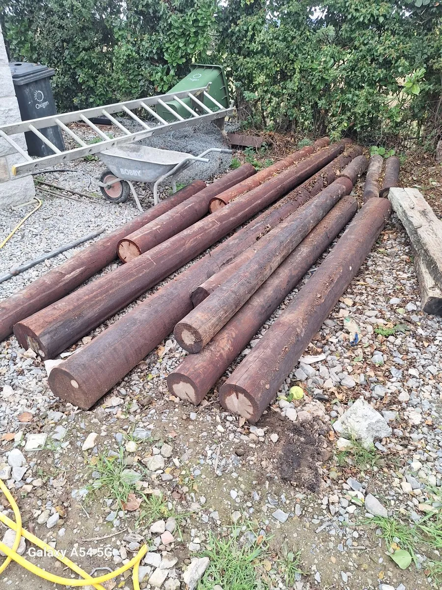 9ft poles treated can deliver - Image 2