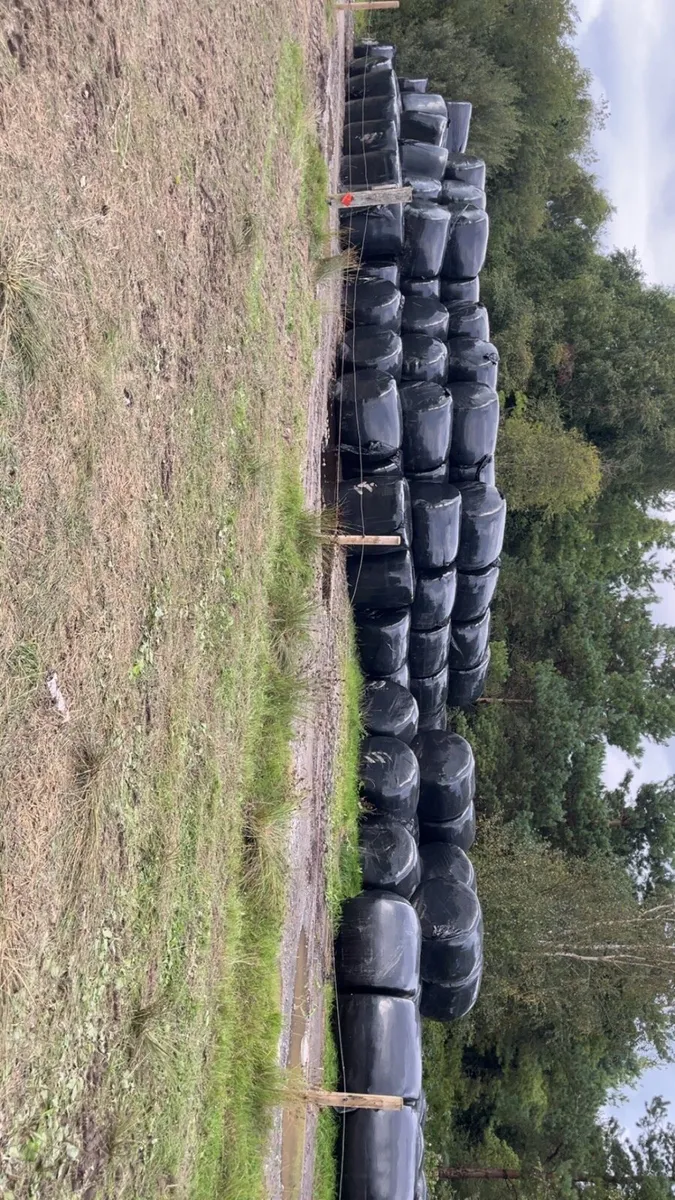 Silage for sale - Image 2