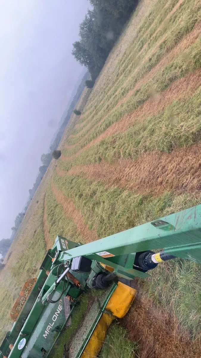 Silage for sale - Image 3