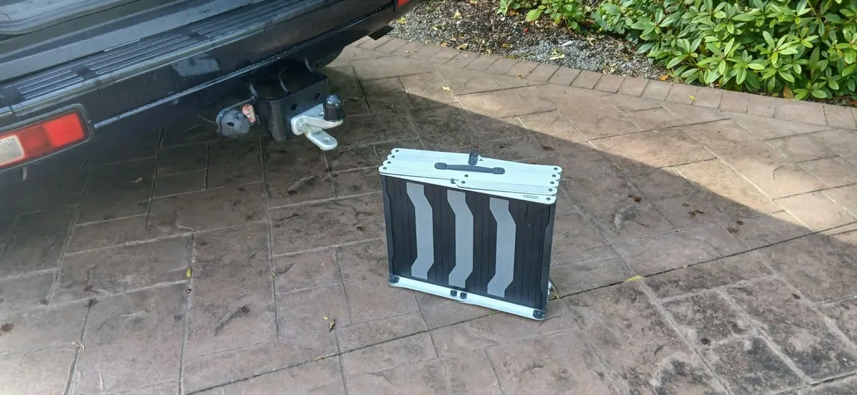 Dog Steps Folding Lite Weight Alum - Image 1