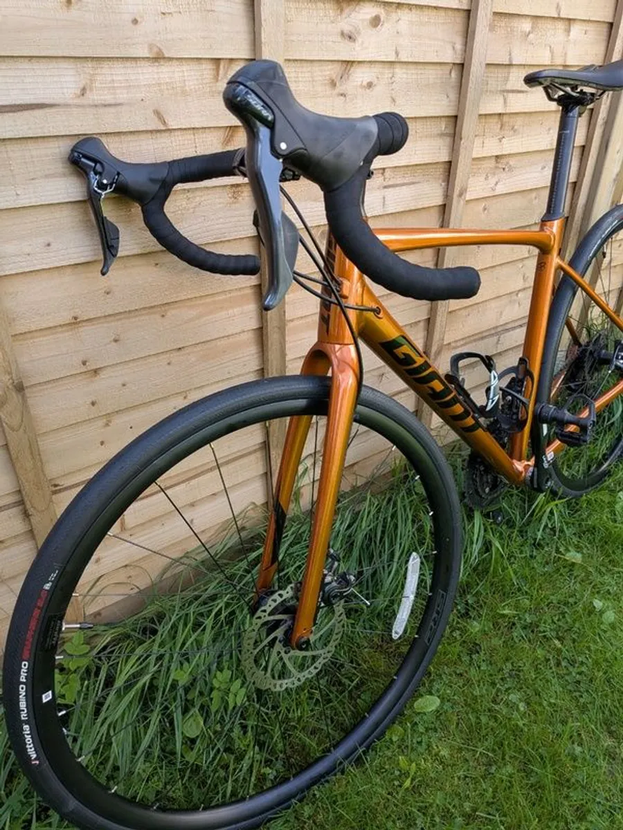 Giant Contend AR - Image 2