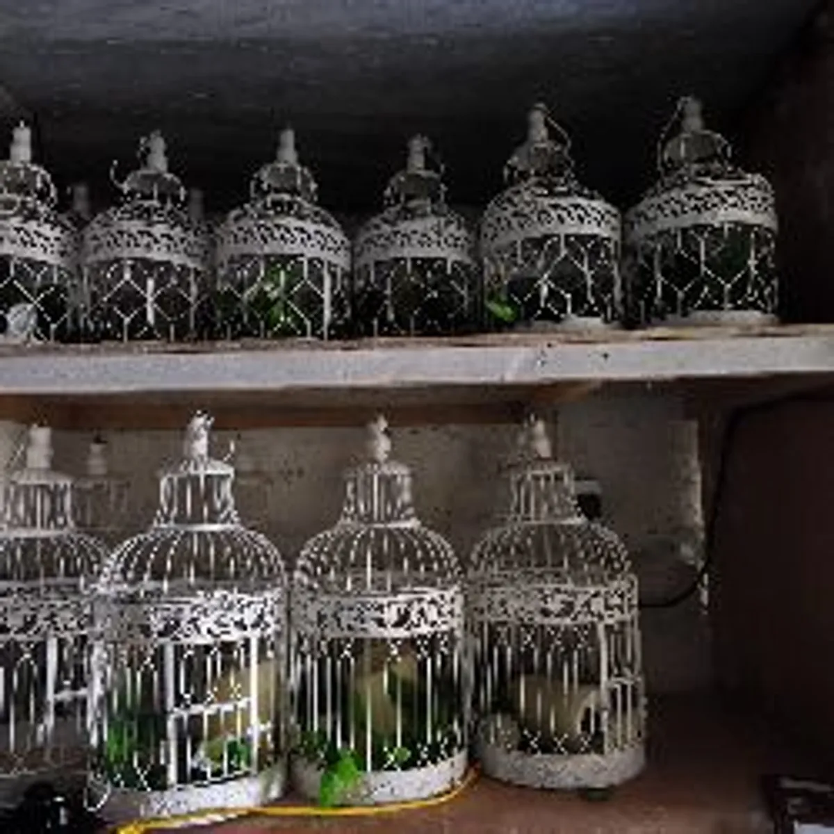 Wedding Decor - Image 3