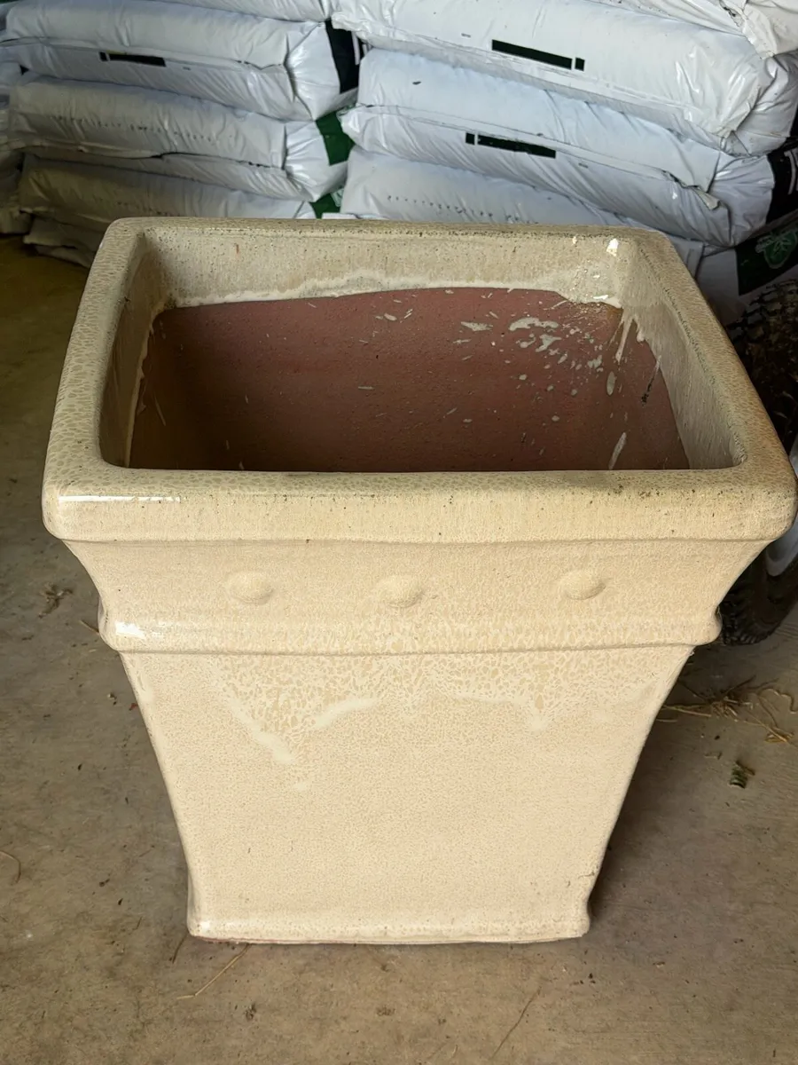 3 Garden Pots FREE - Image 1