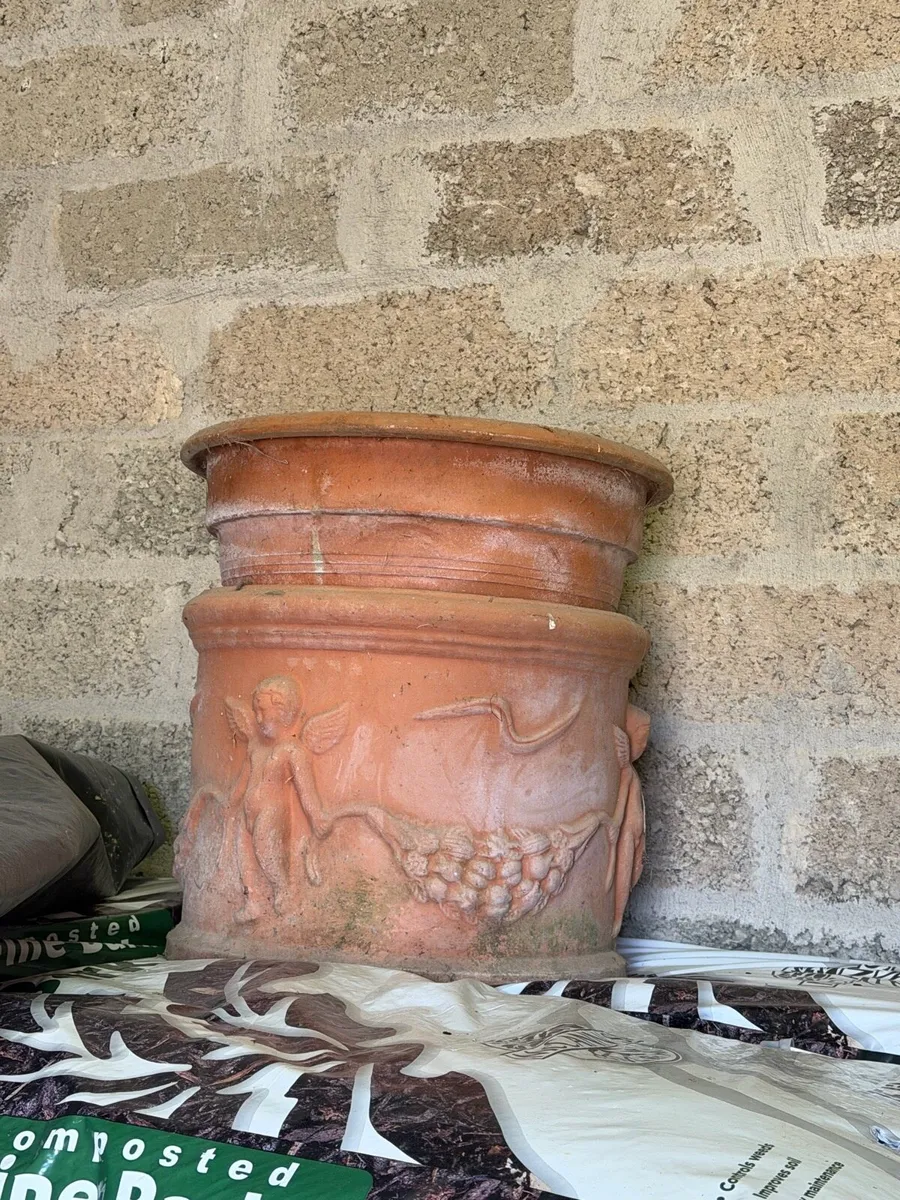 3 Garden Pots FREE - Image 2
