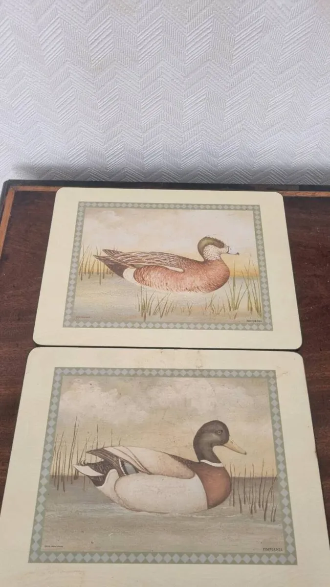 Pimpernel Elegant Table Mat Set - Image 3