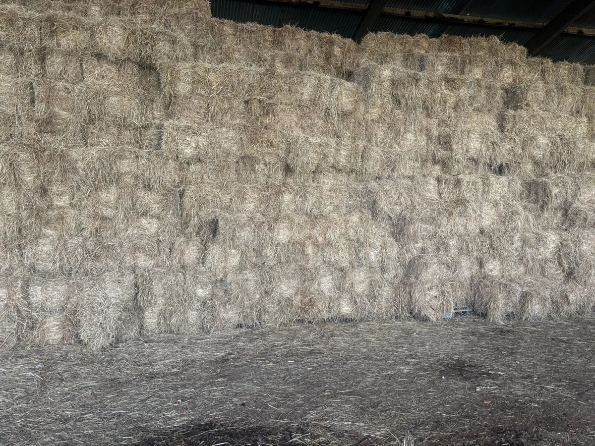 Hay and Haylage - Image 1