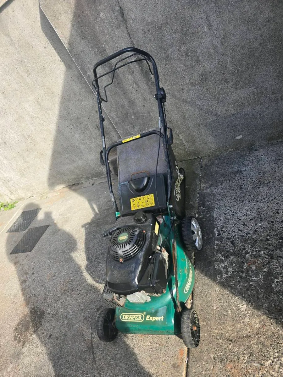 Lawnmower Self drive - Image 2
