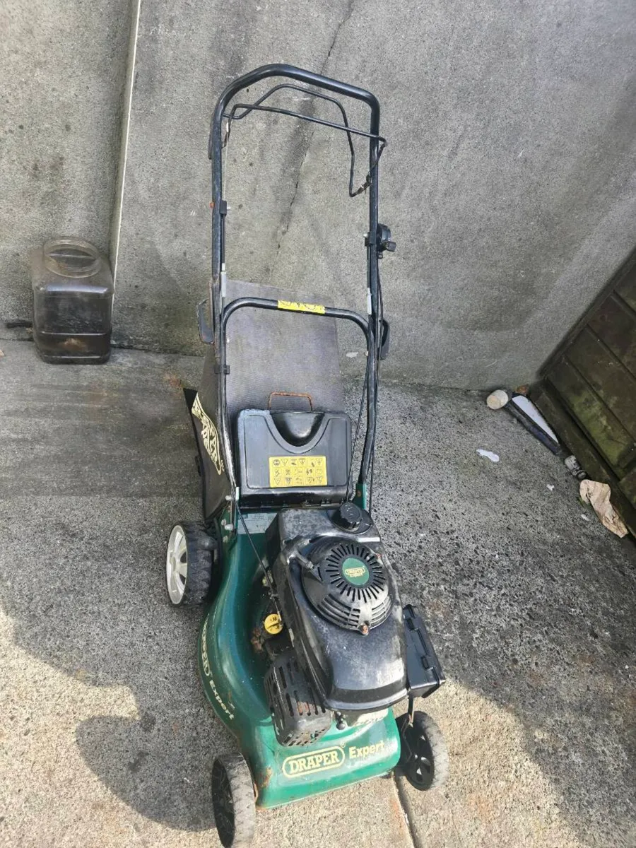 Lawnmower Self drive - Image 4