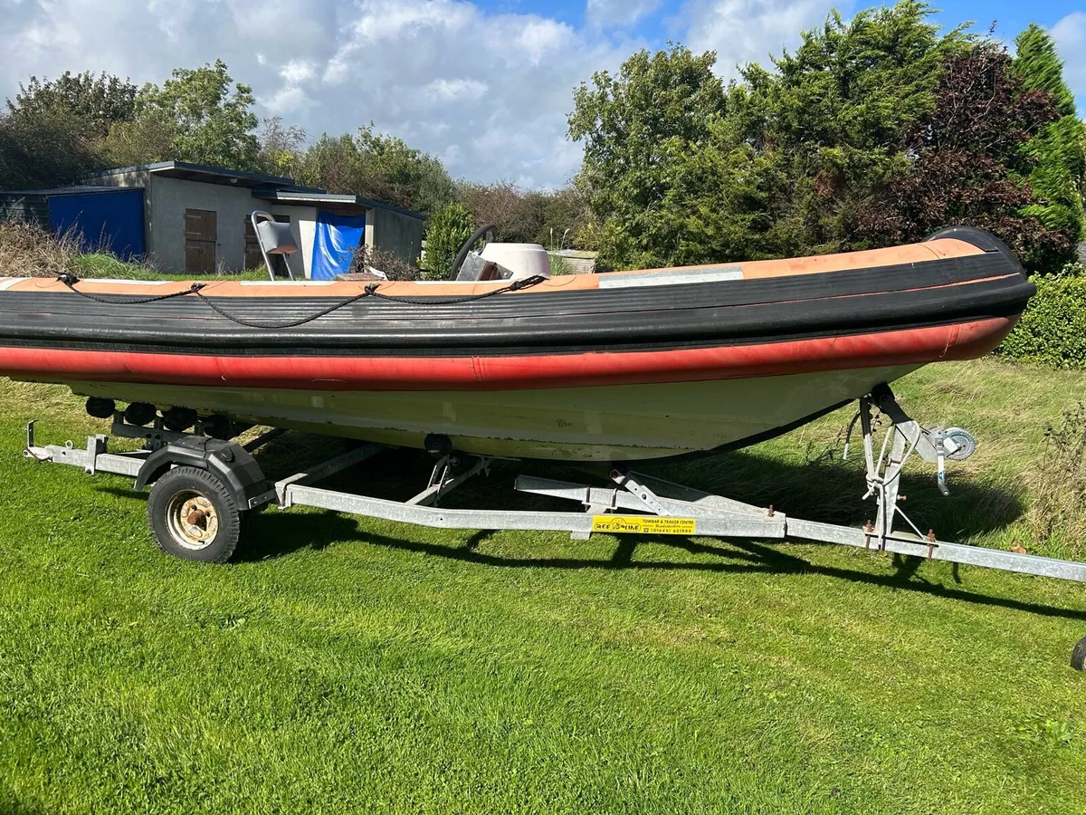 Rib - Image 1